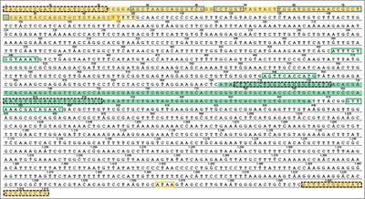 Evolutionary Dynamics of Multigene Families in Triportheus (Characiformes, Triportheidae): A Transposon Mediated Mechanism?